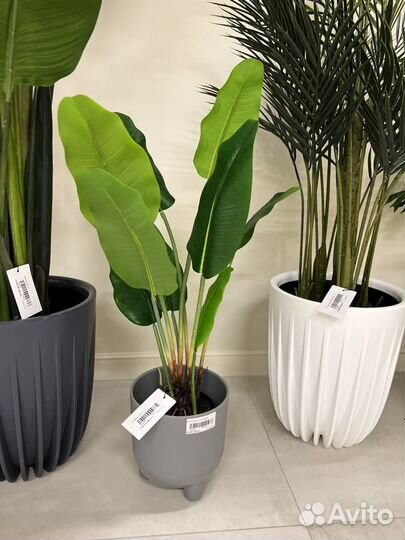 Искусственные растения в ассортименте