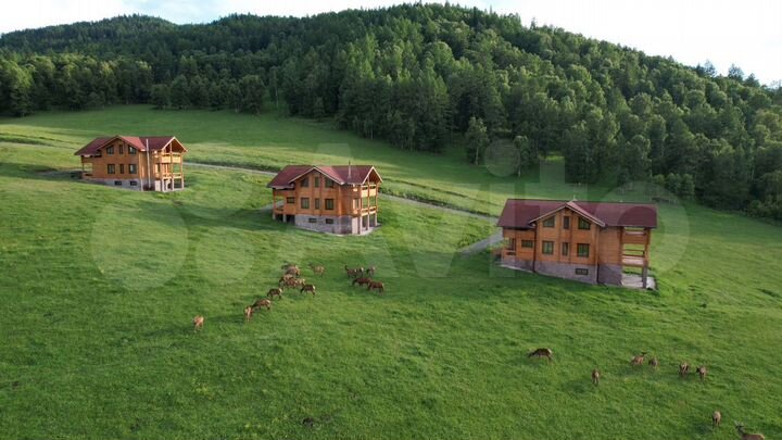 Коттедж 300 м² на участке 12 га