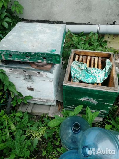 Ульи дадан 12 рамочный б/у