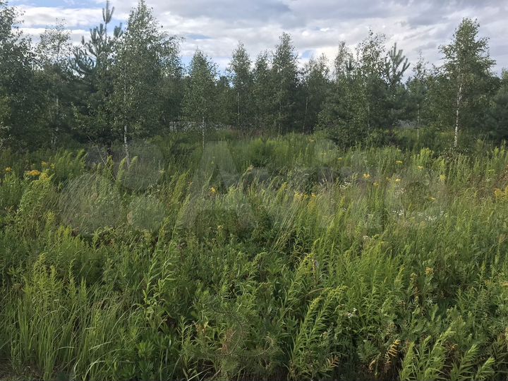 Участок 20 сот. (ИЖС)