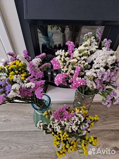 Сухоцветы Статица