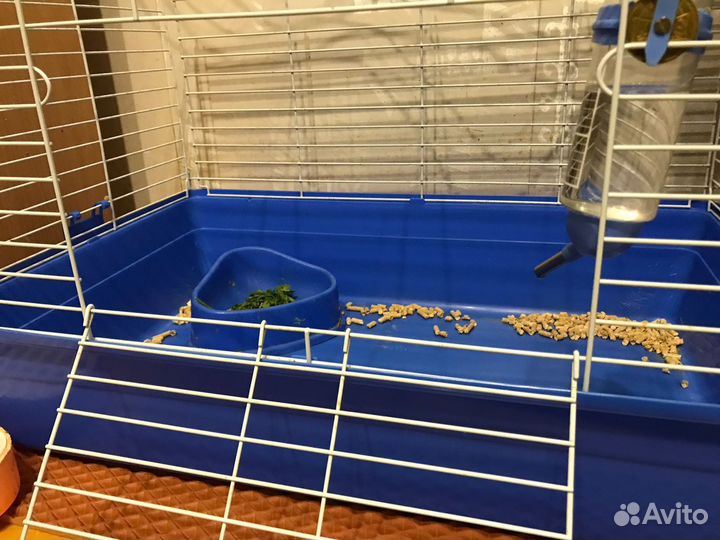 Клетка для кролика