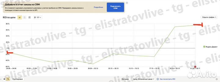 Маркетолог / Руководитель / Директолог