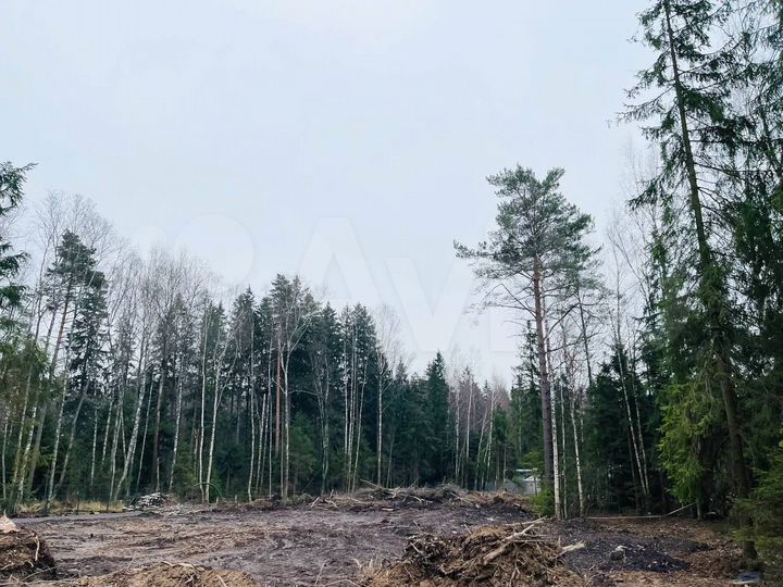 Участок 7 сот. (СНТ, ДНП)