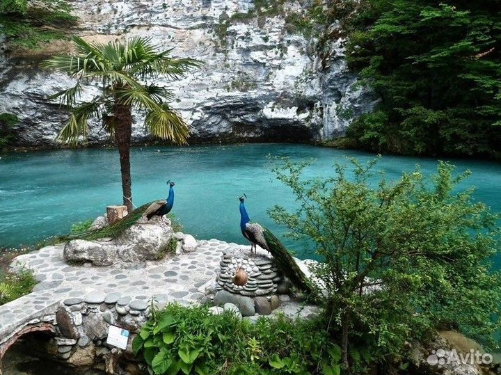 Экскурсия в Абхазию на джип тур 13 часов