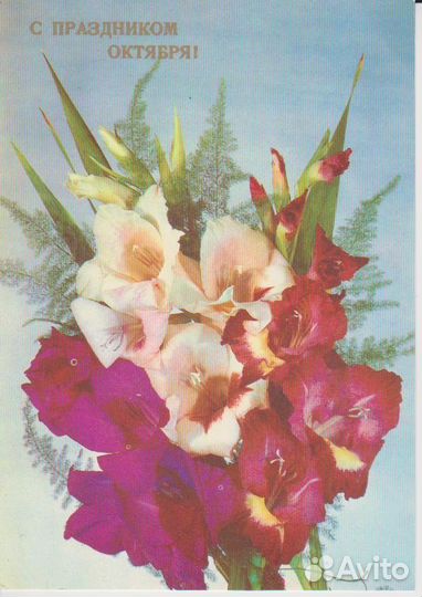 Открытка Гладиолус С праздником Октября. 1988 СССР