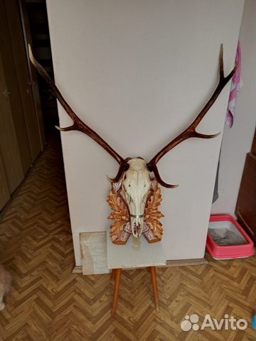 Рога на медальоне