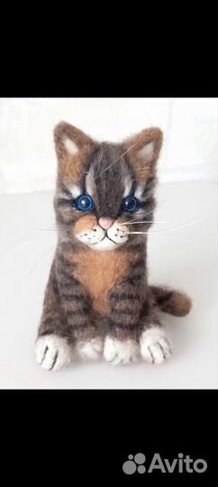 Котик из овечьей шерсти