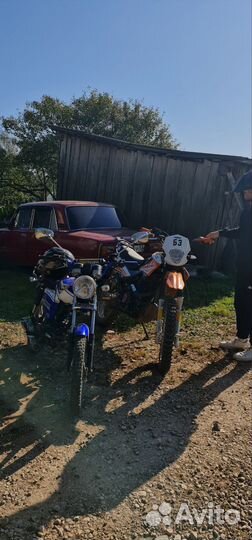 Альфа motolend Rx 11