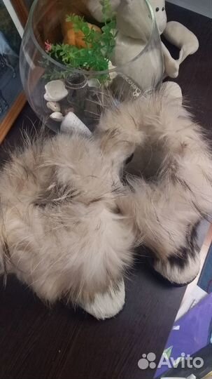 Угги морегор