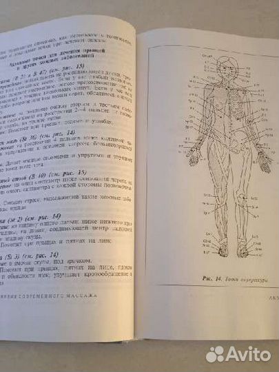 Энциклопедия современного массажа