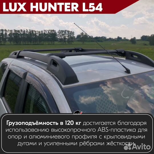 Багажник Citroen C3 Picasso I 2009-2012 hunter B