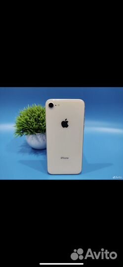 iPhone 8 64gb 100акб