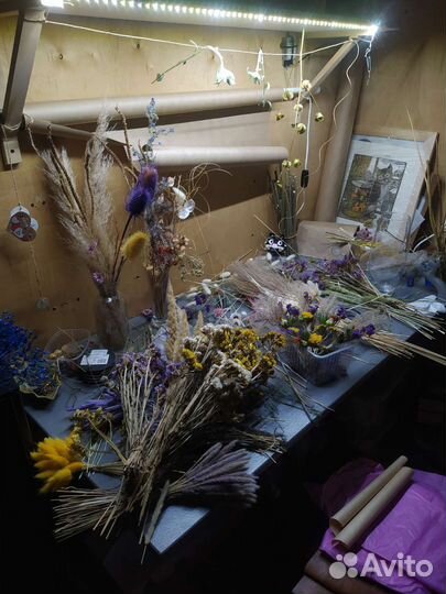 Сухоцветы разные