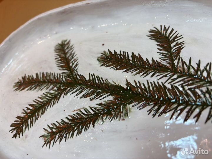 Тарелка ручной работы