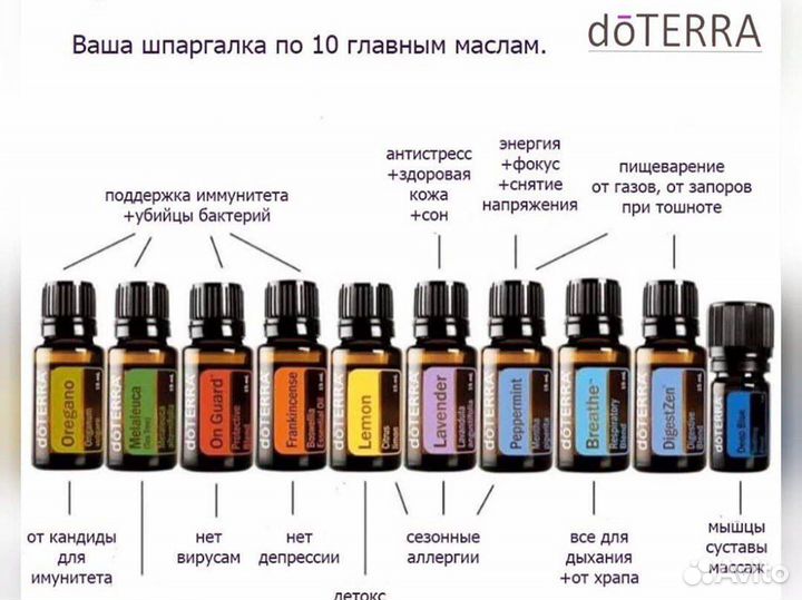Эфирное масло дотерра совместный заказ doterra