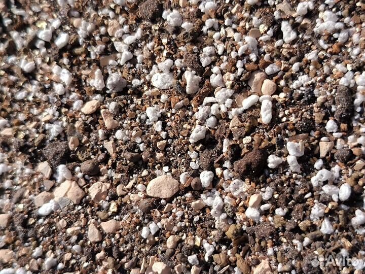 Грунт для кактусов и суккулентов