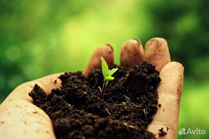 Торфосмесь