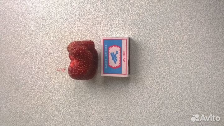 Саженцы клубники 