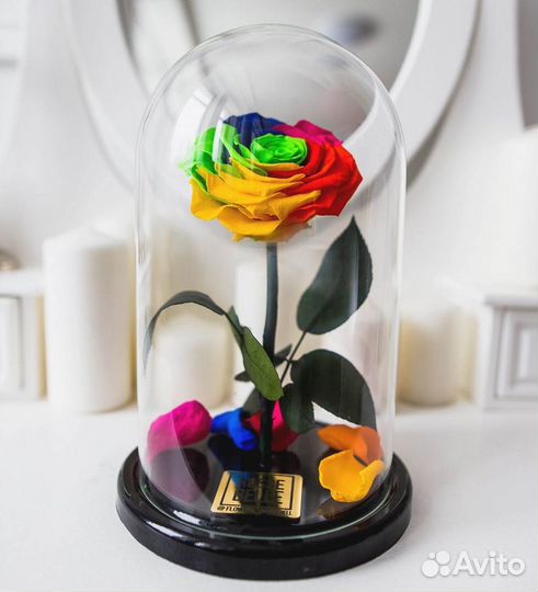 Роза в колбе. Вечная