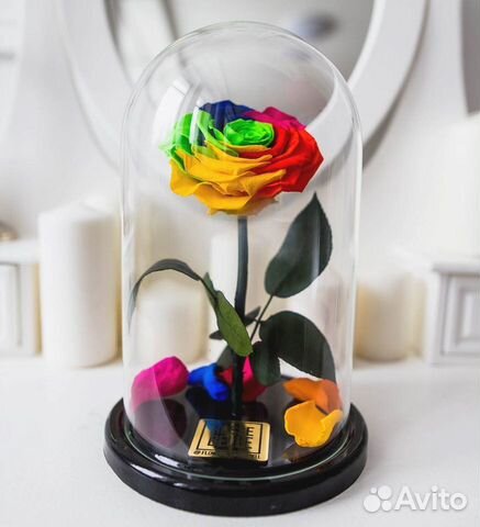 Роза в колбе. Вечная