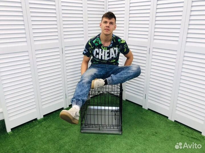 Клетка для собак номер 2