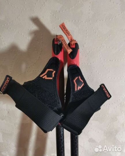 Лыжные палки