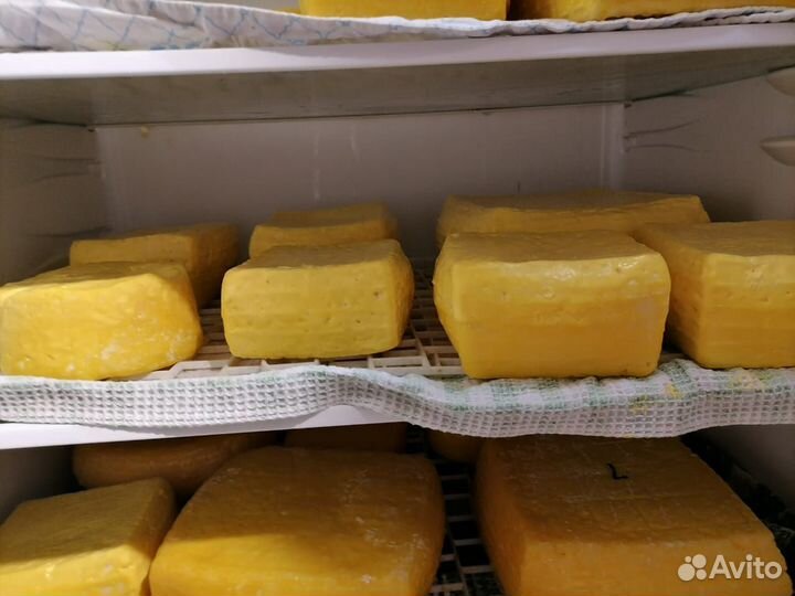 Домашний творог молоко сыр