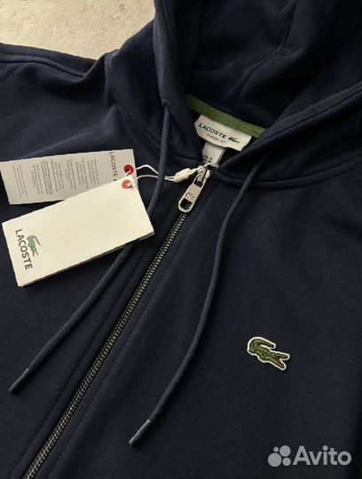 Спортивный костюм Lacoste синий premium