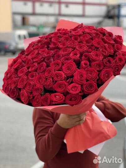 Розы 101 штука