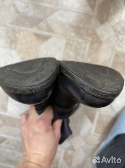 Nero giardini сапоги 38