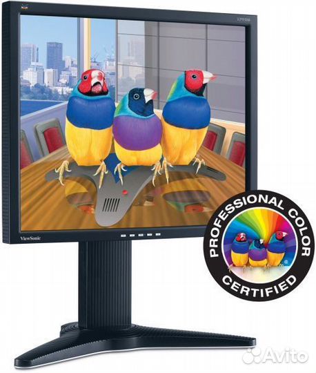 Монитор ViewSonic VP950B