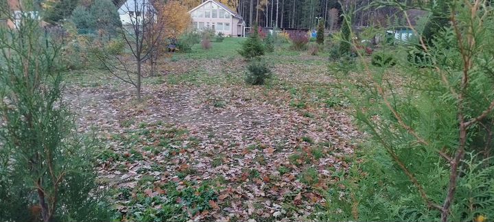 Участок 10 сот. (ИЖС)