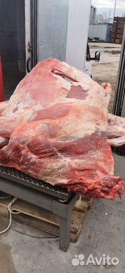 Мясо оптом