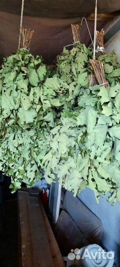 Веники для бани