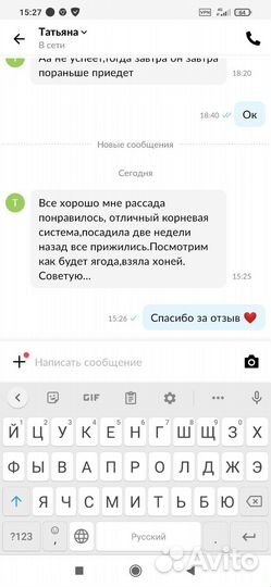 Рассада Клубника Азия,Хоней-40руб. Елизавета - 50р