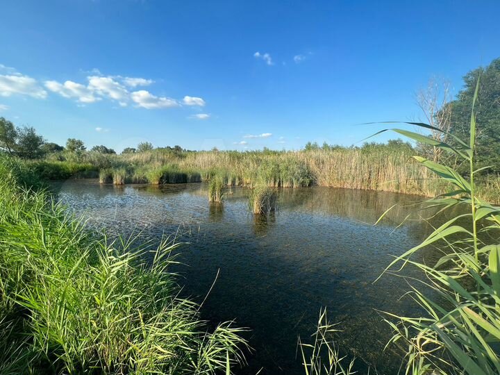 Участок 13 га (СНТ, ДНП)