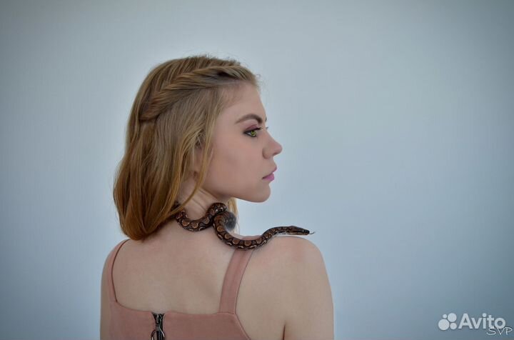 Нужны модели для фотосессии со змеями