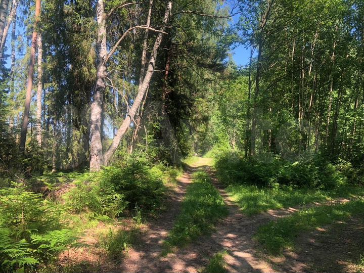 Участок 10 сот. (СНТ, ДНП)