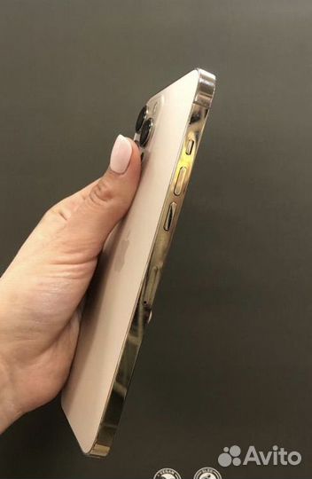 iPhone 12 Pro Max, 256 ГБ