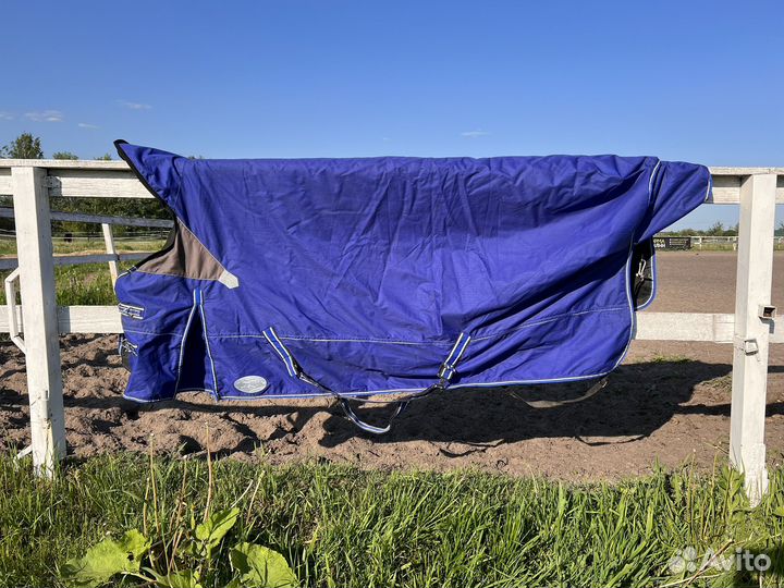 Амуниция для лошади