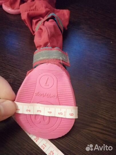 Ботиночки для собак