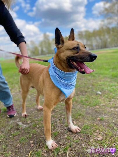 Замечательная девочка нуждается в своей человеке