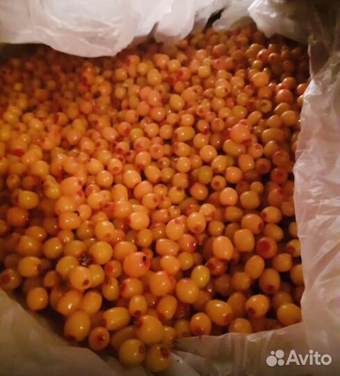 Облепиха замороженная оптом