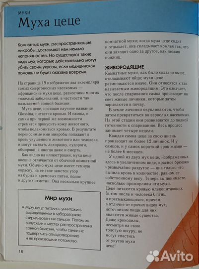 Энциклопедия Насекомые