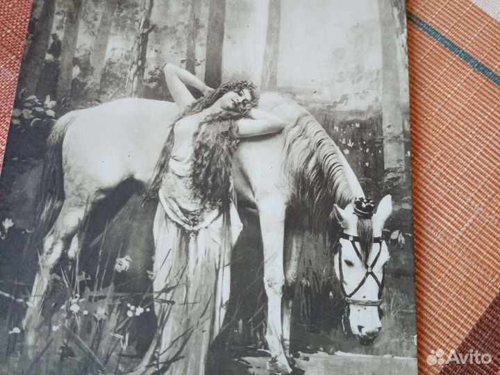 Антикварная открытка девушка и конь