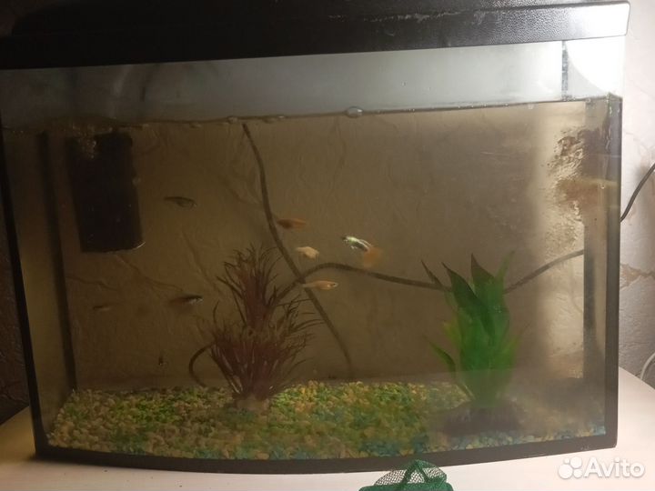 Аквариум с рыбками бу