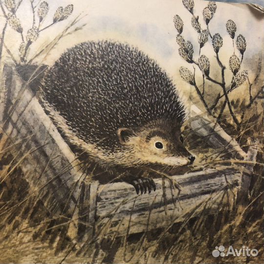 Детские книжки о животных СССР 1972-1990