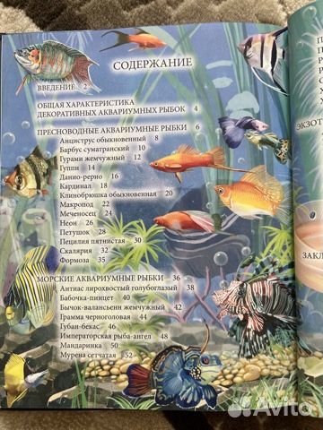 Энциклопедия аквариумные рыбки