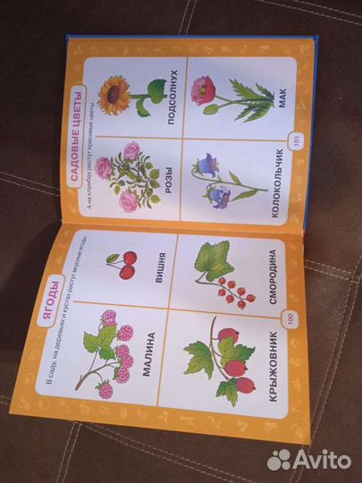 Первый учебник малыша